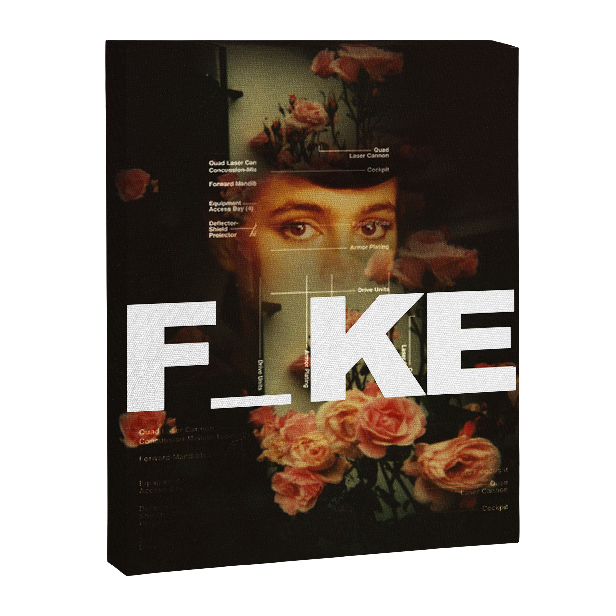 F_ke Canvas Print Gallery Image 6