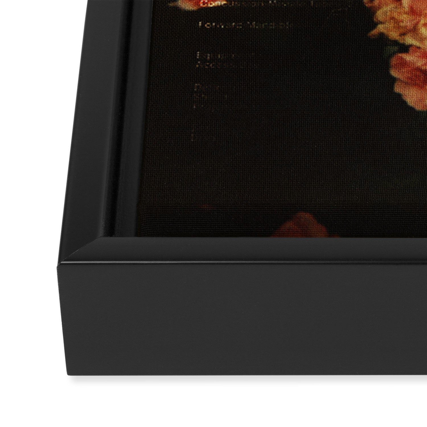 F_ke Framed Canvas Print Gallery Image 3