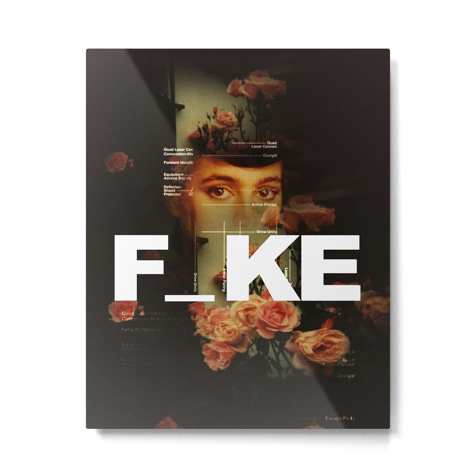 F_ke Metal Print Gallery Image 4