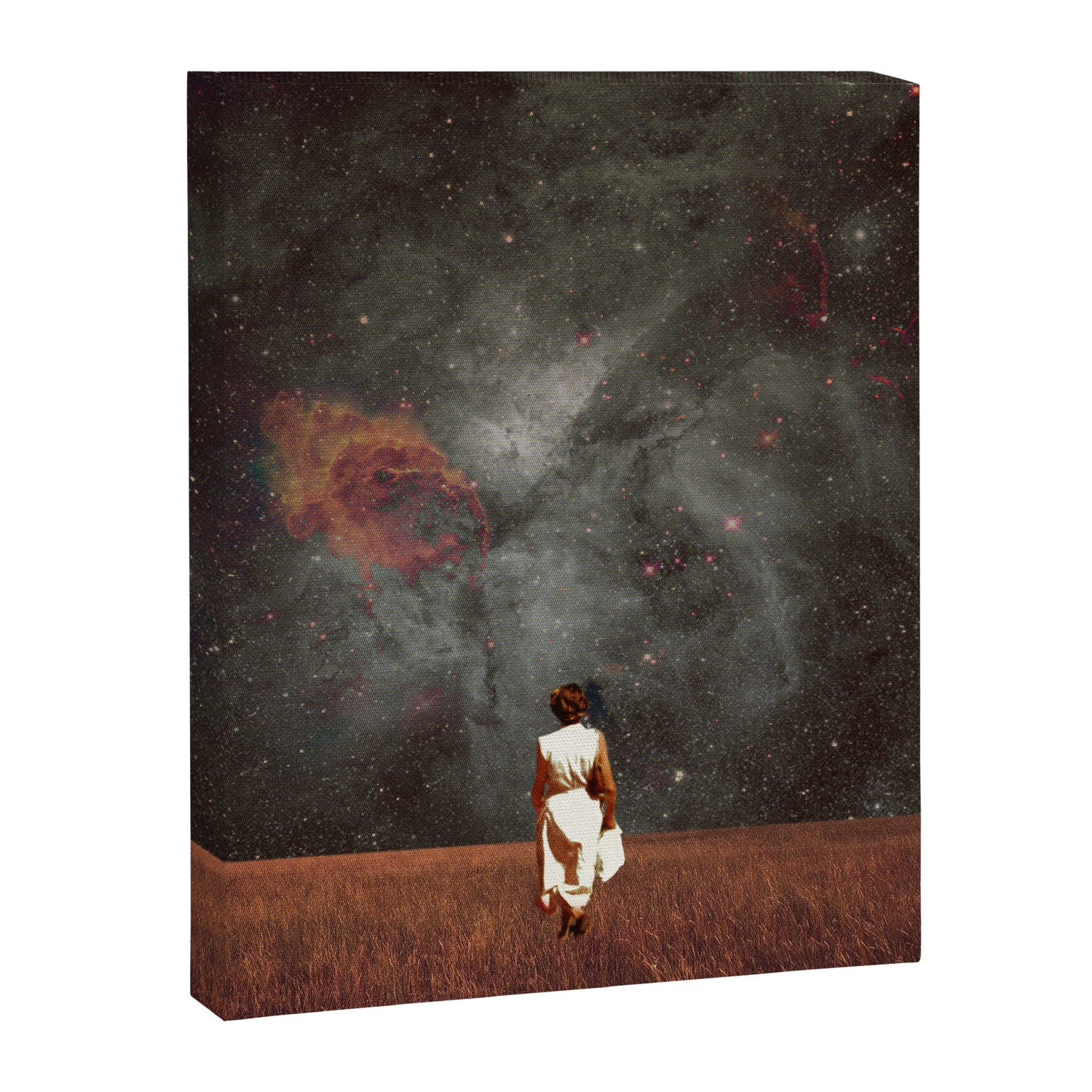 Follow Me Canvas Print Gallery Image 3