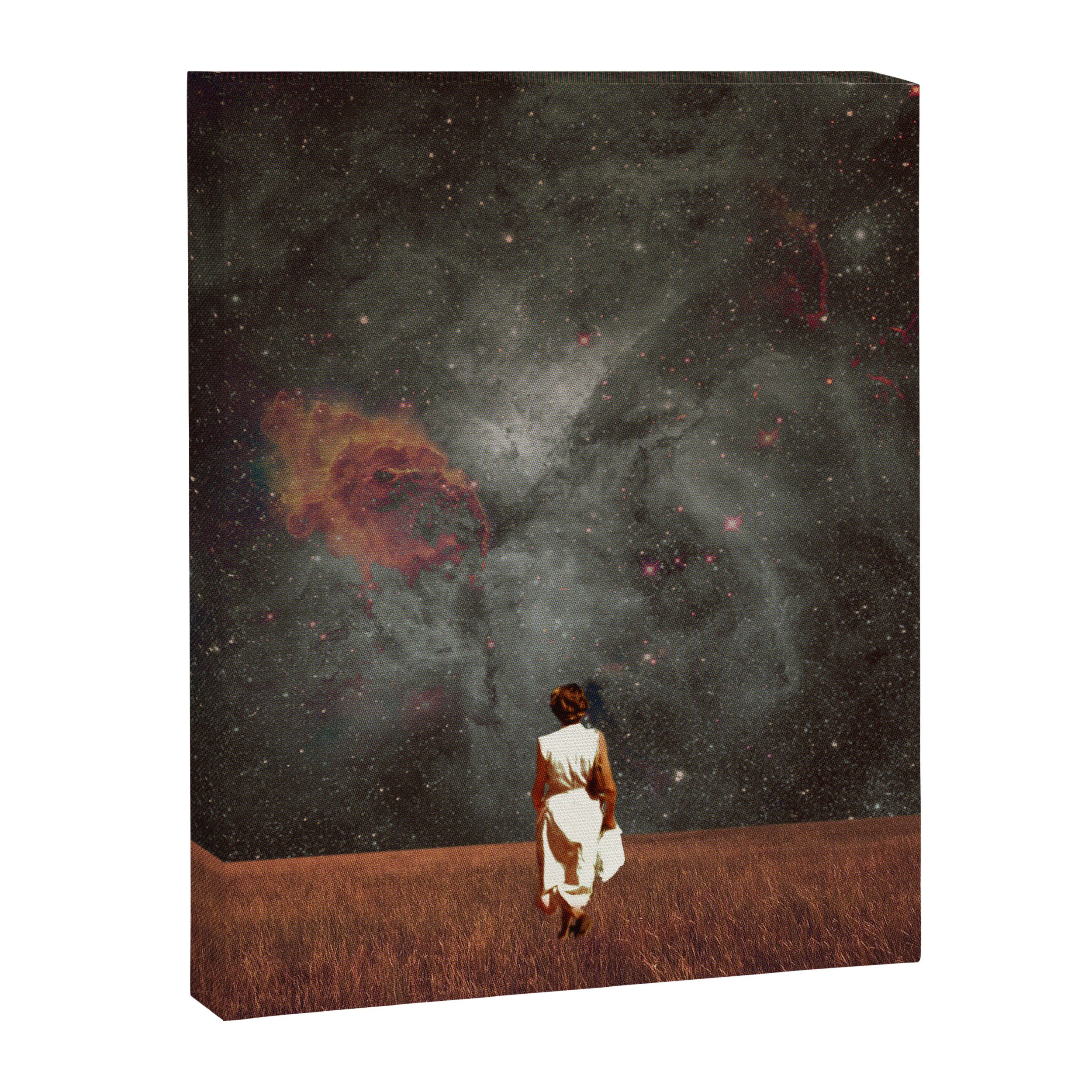 Follow Me Canvas Print Gallery Image 3