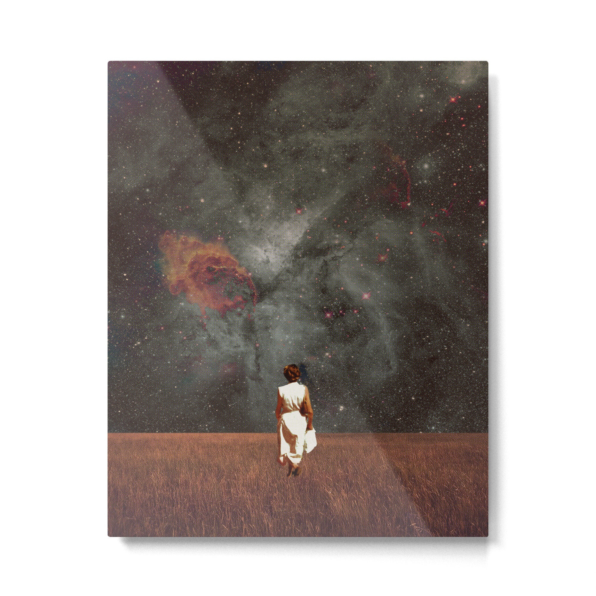 Follow Me Metal Print Gallery Image 4