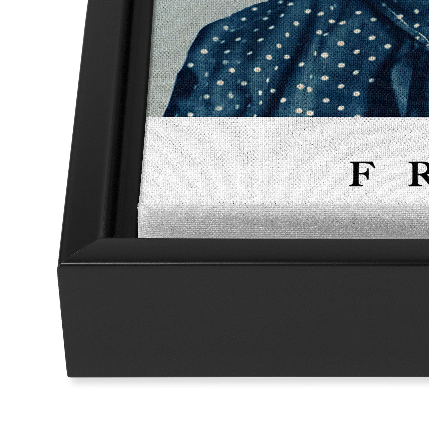 for Frida ~ with border Framed Canvas Print Gallery Image 3