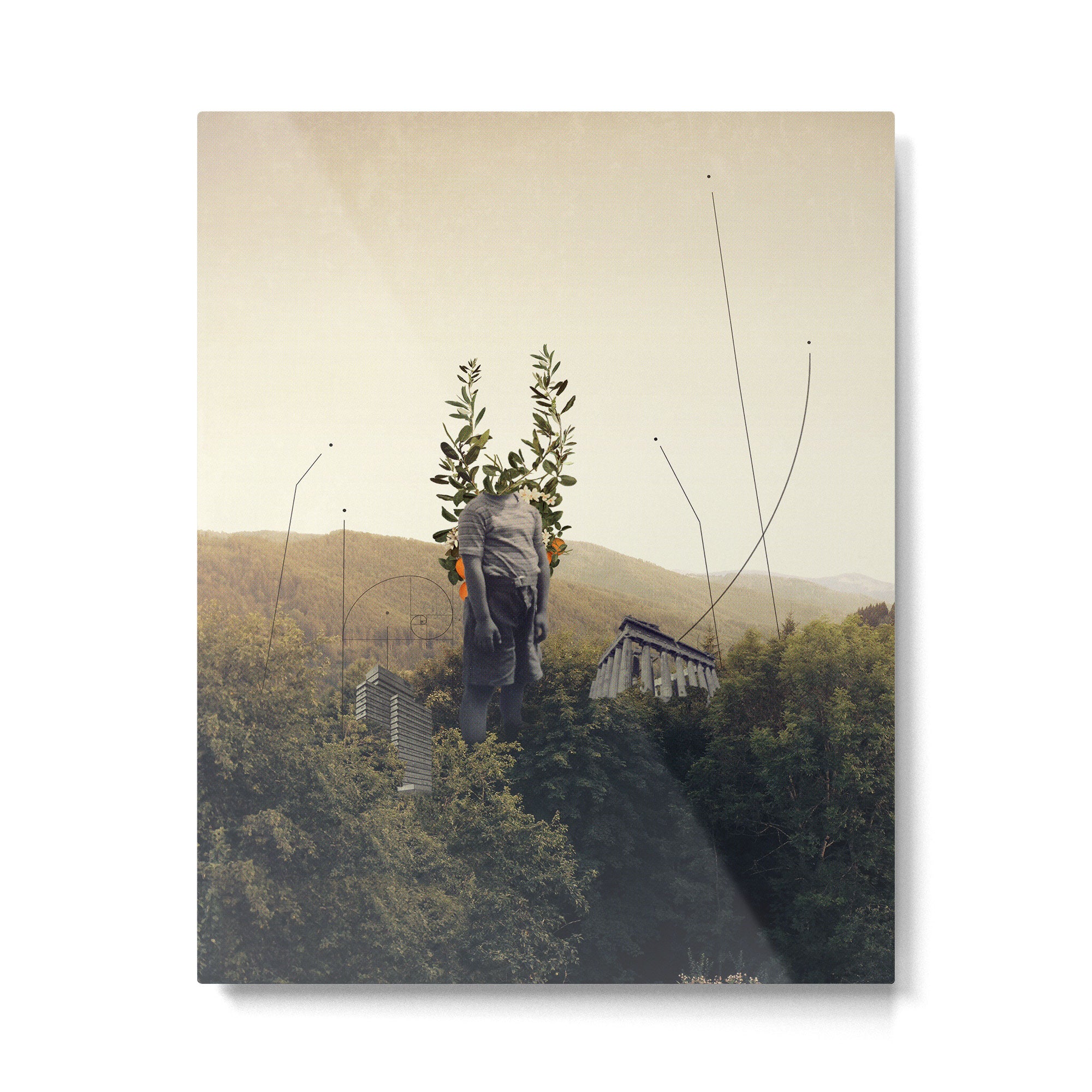 Forest Angel Metal Print Gallery Image 4