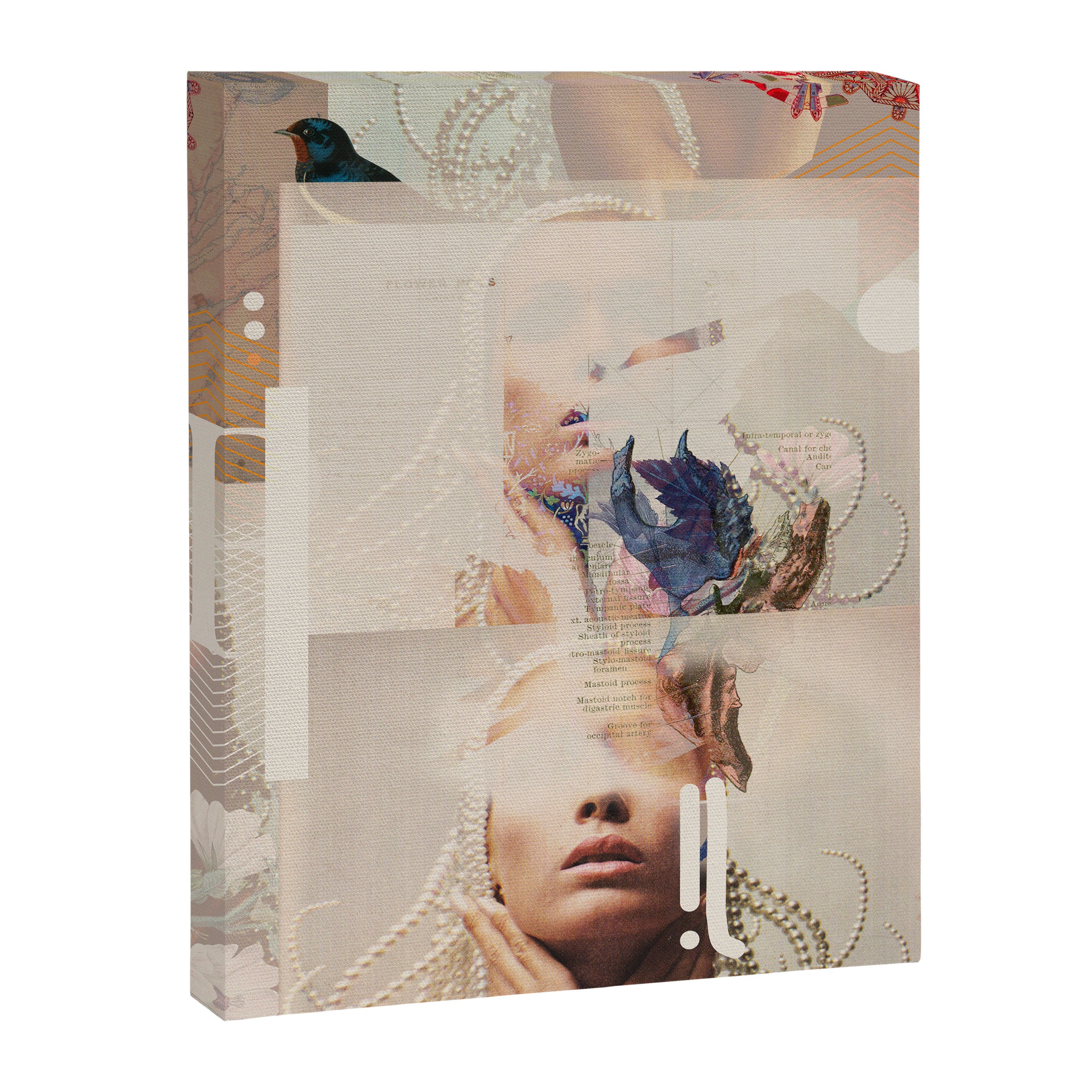 Fractionalized Elegance Canvas Print Gallery Image 6