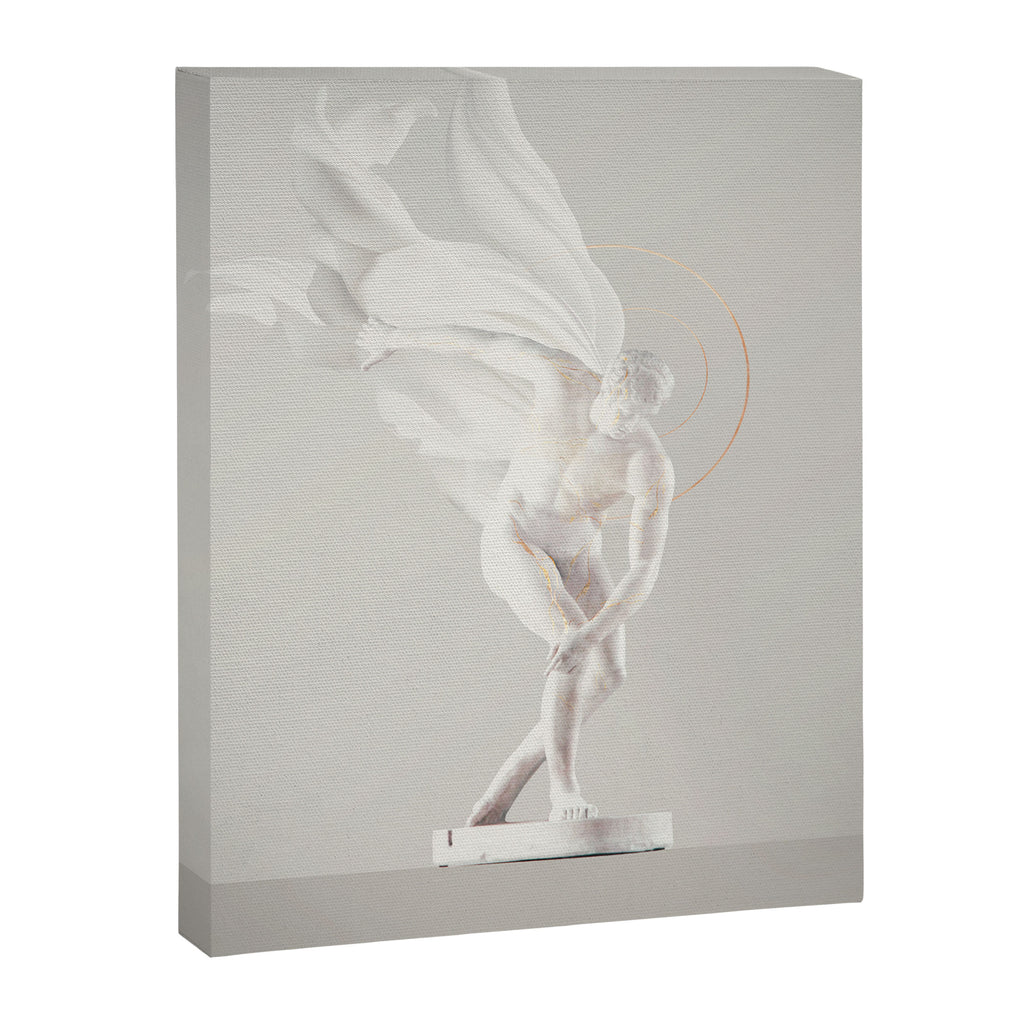 FRDM Canvas Print Gallery Image 6
