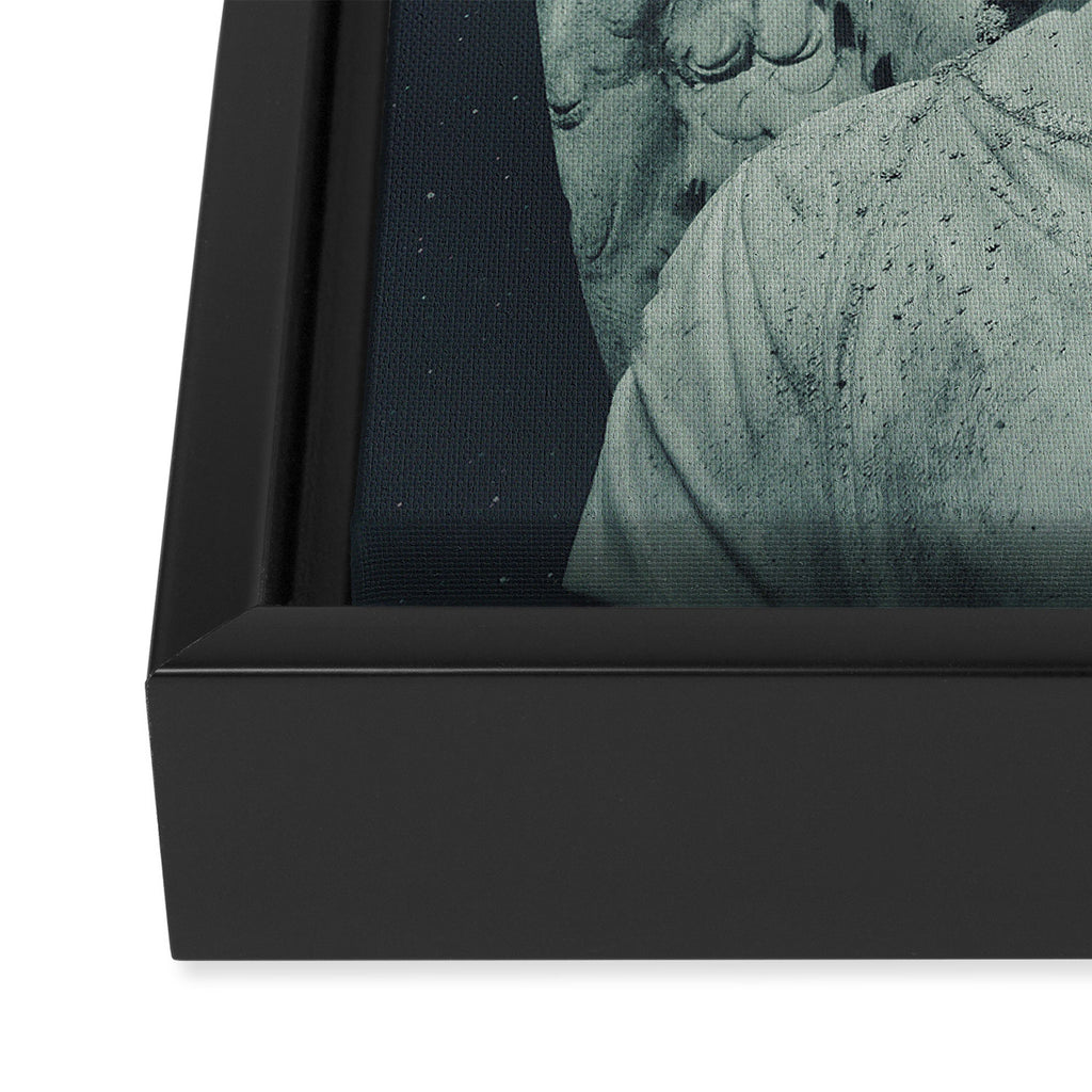 Gaze from Above Framed Canvas Print Gallery Image 3