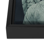 Gaze from Above Framed Canvas Print Gallery Image 3