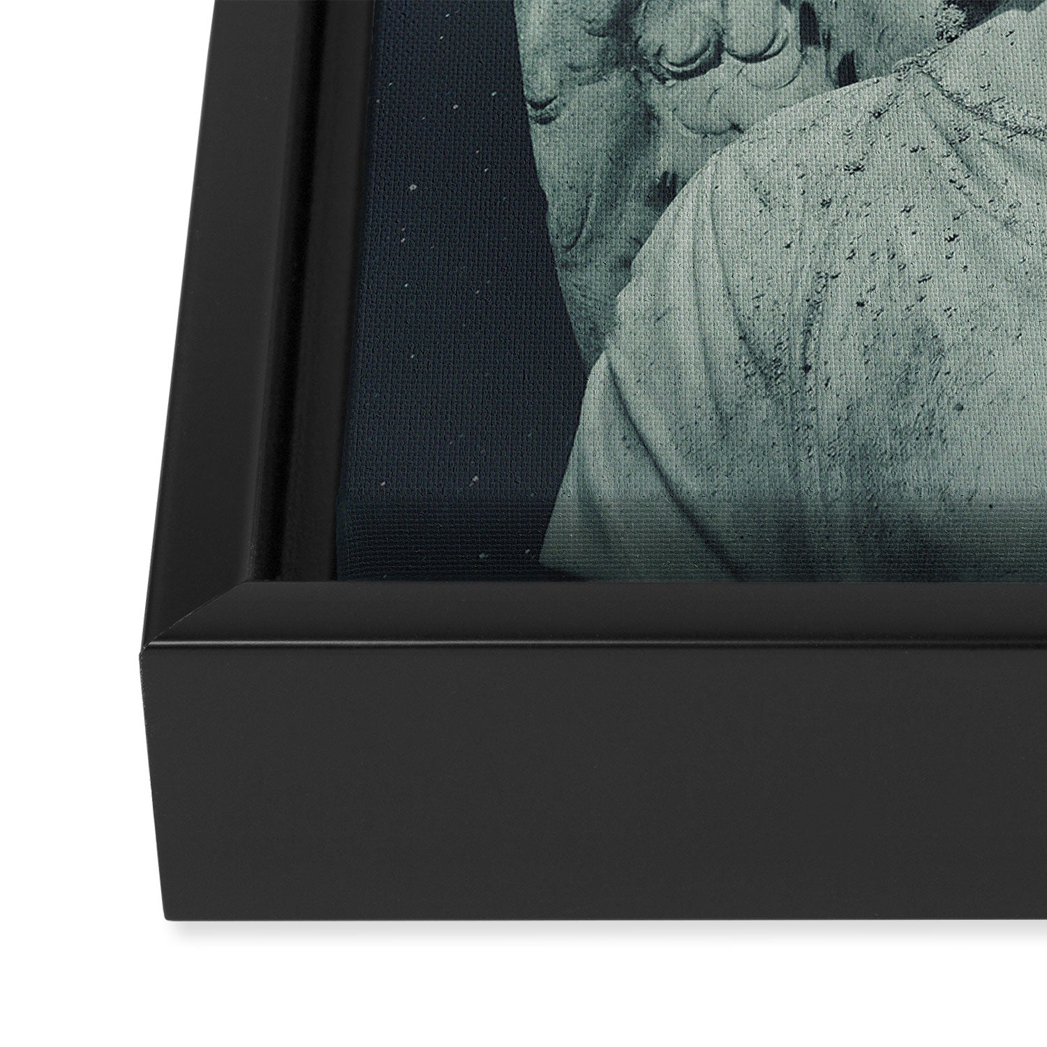 Gaze from Above Framed Canvas Print Gallery Image 3