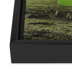 Grandeur Framed Canvas Print Gallery Image 3