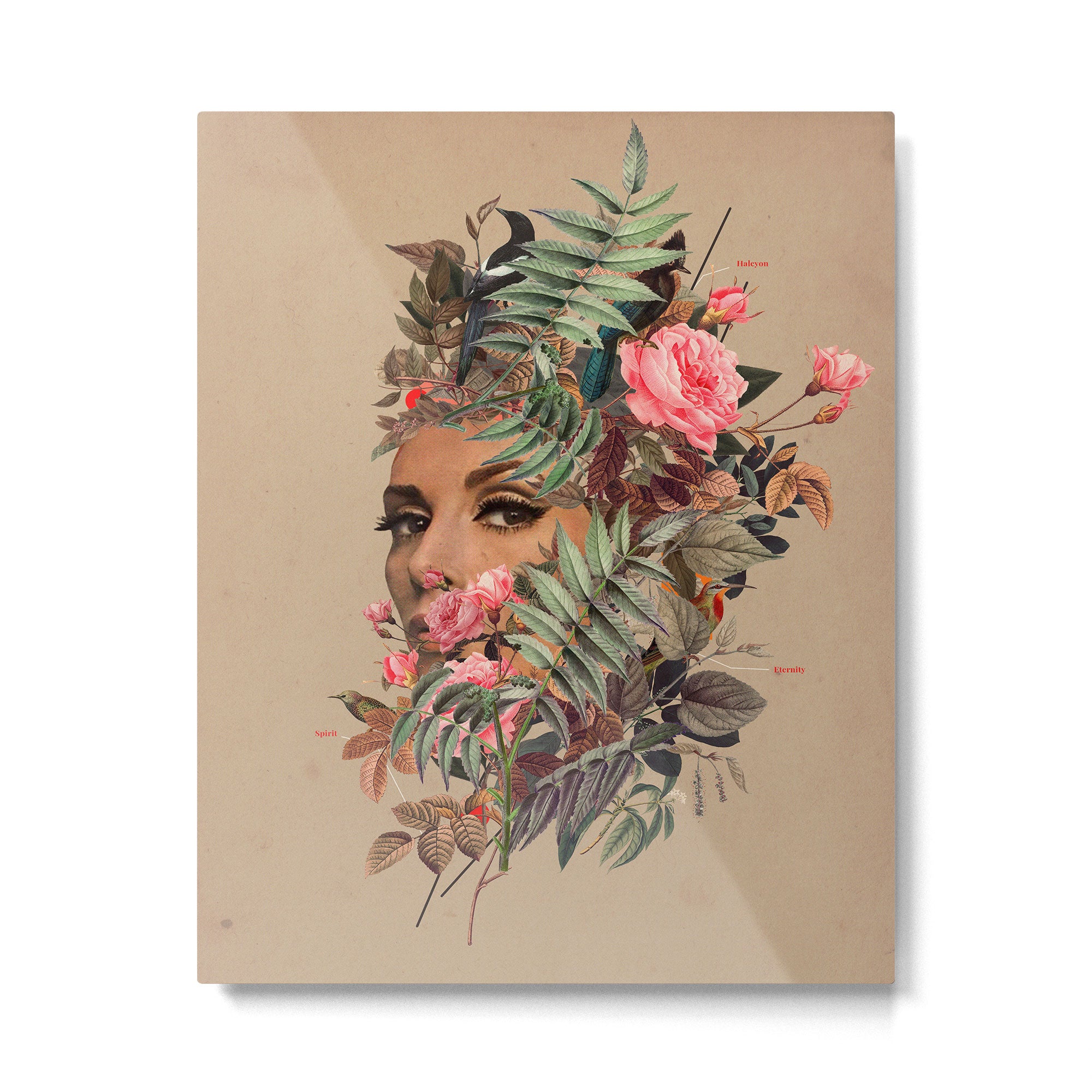 Halcyon Days Metal Print Gallery Image 4