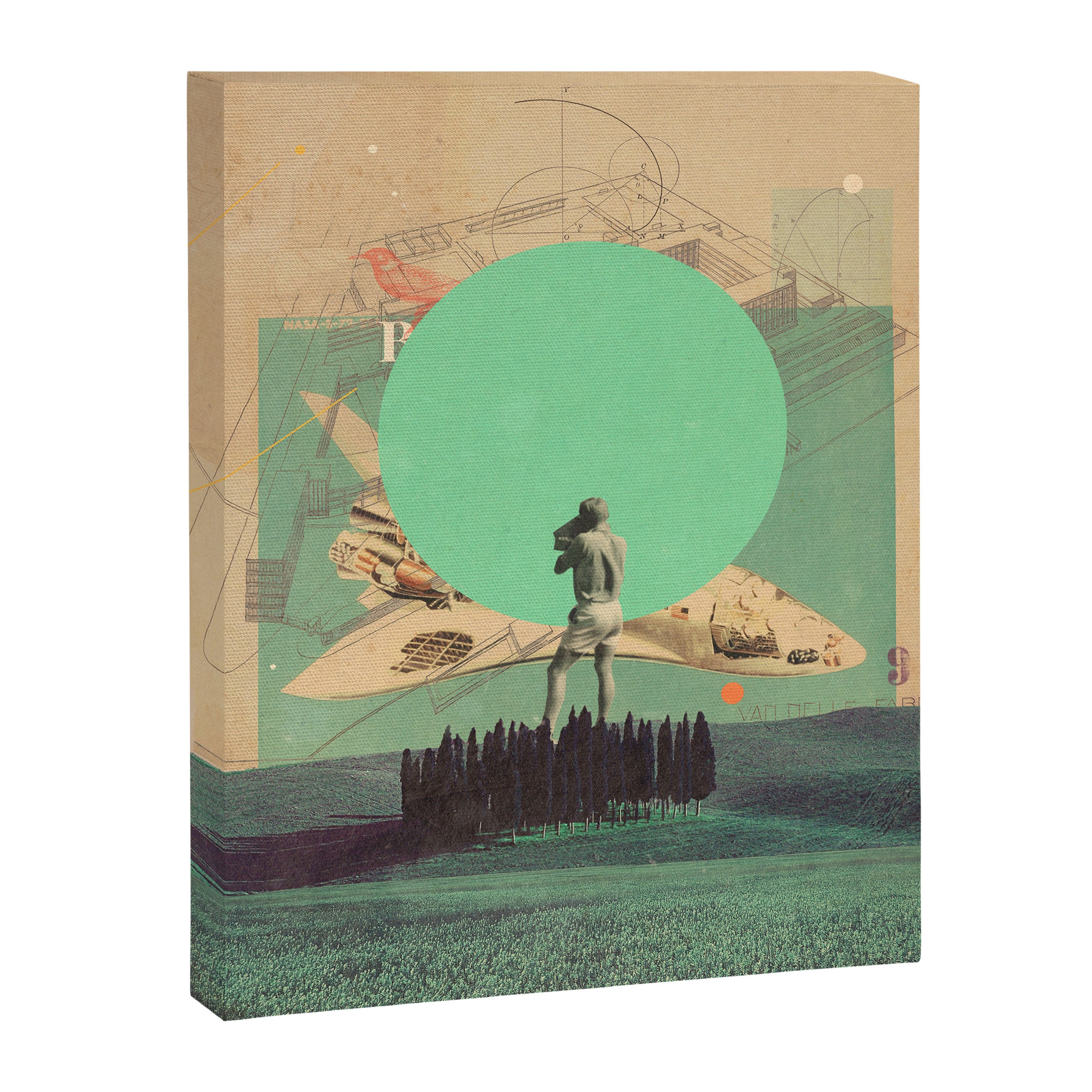 Hopes in Range Canvas Print Gallery Image 6