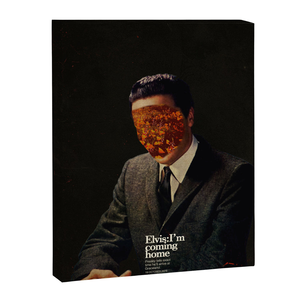 King Canvas Print Gallery Image 6