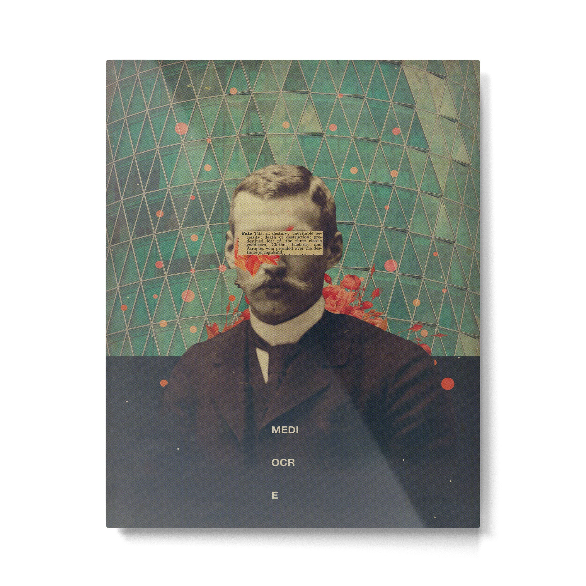 Mediocre Metal Print Gallery Image 4