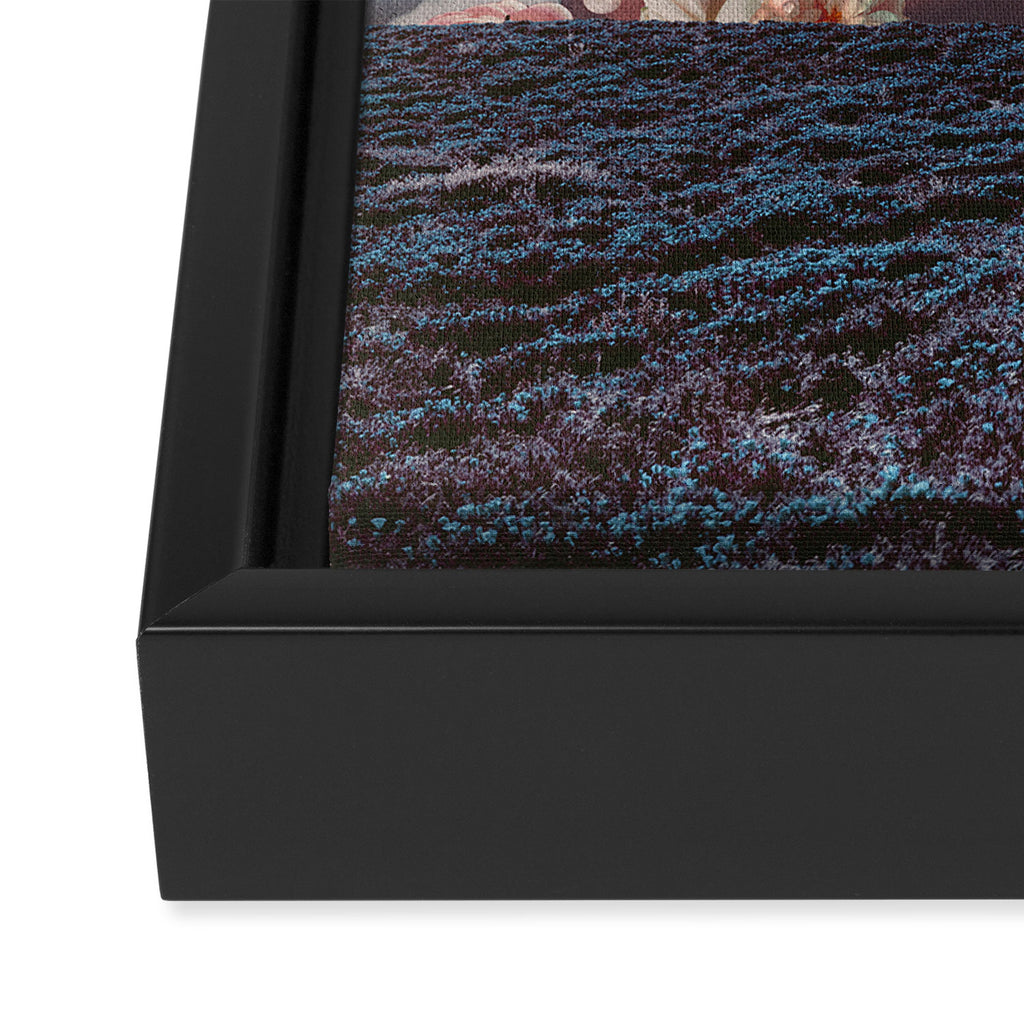 Pearlescent Wanderer Framed Canvas Print Gallery Image 3