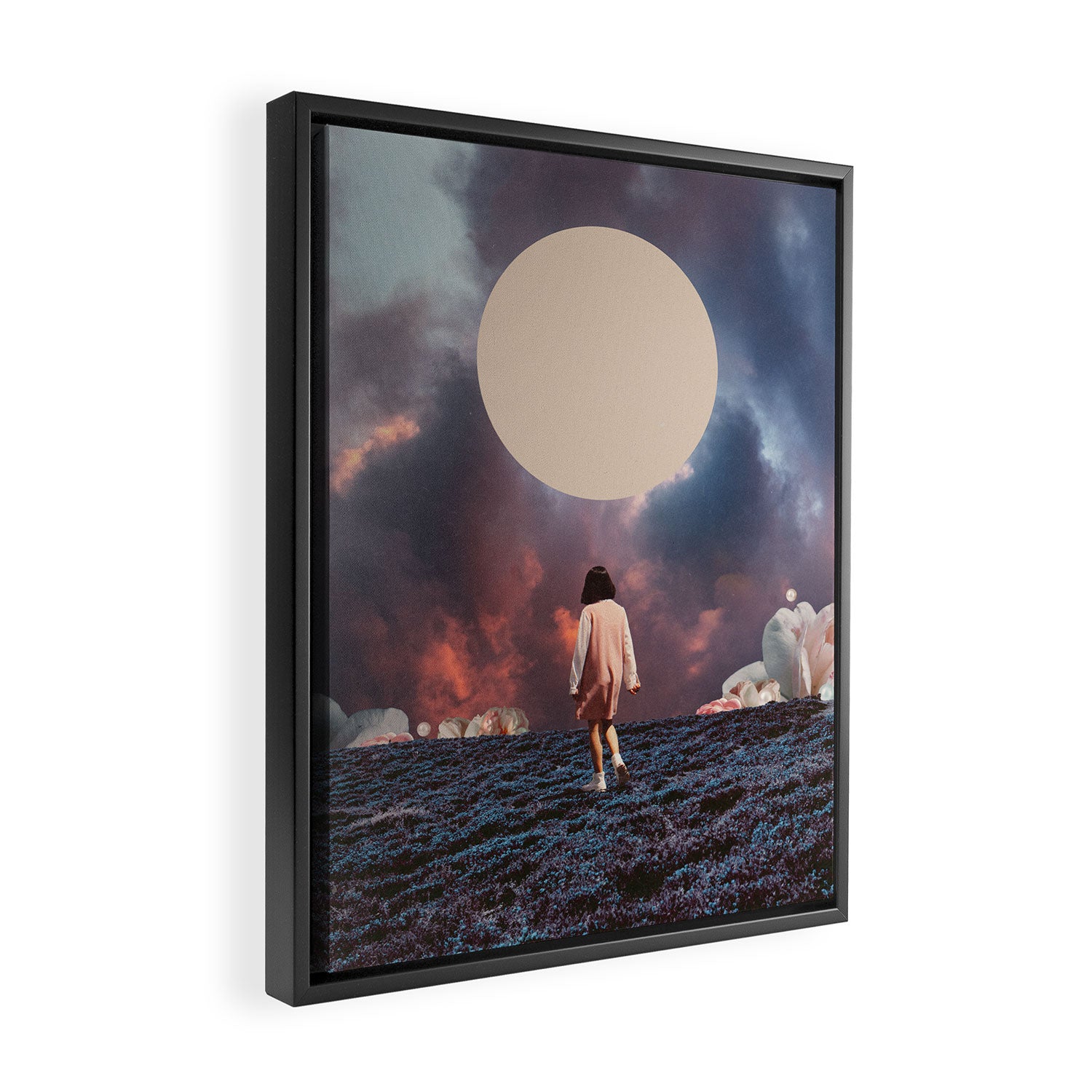 Pearlescent Wanderer Framed Canvas Print Gallery Image 2