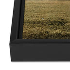 Î¦ (Phi) Framed Canvas Print Gallery Image 3