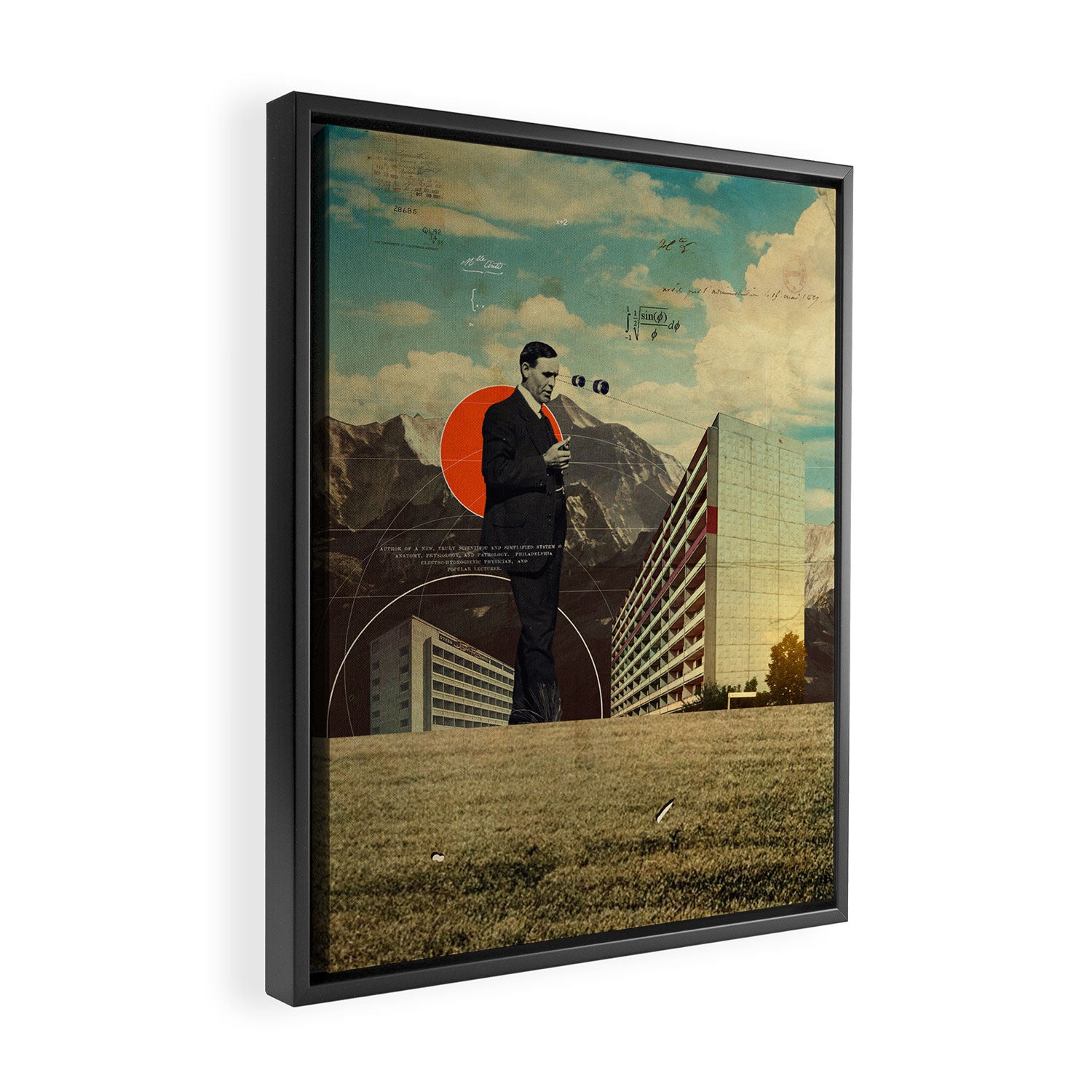 Î¦ (Phi) Framed Canvas Print Gallery Image 2
