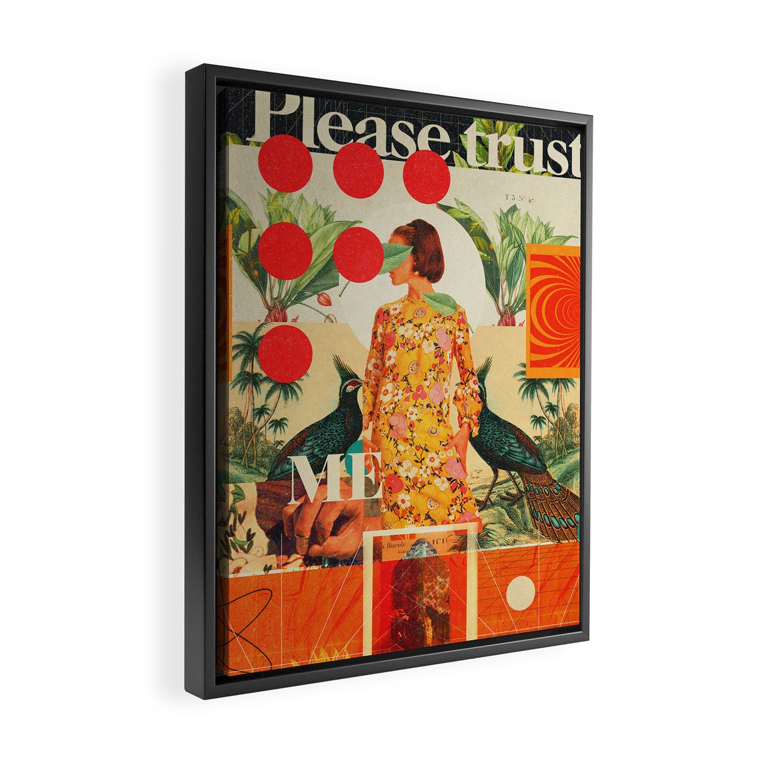 Please Trust Me Framed Canvas Print Gallery Image 2