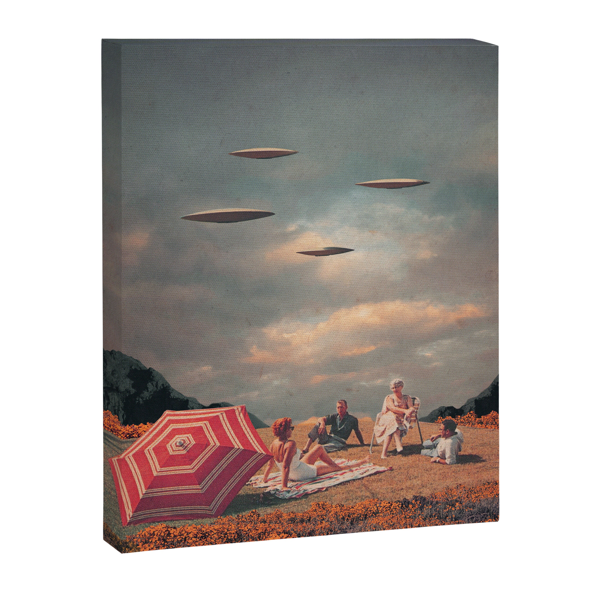 Pretend They Never Came Canvas Print Gallery Image 6