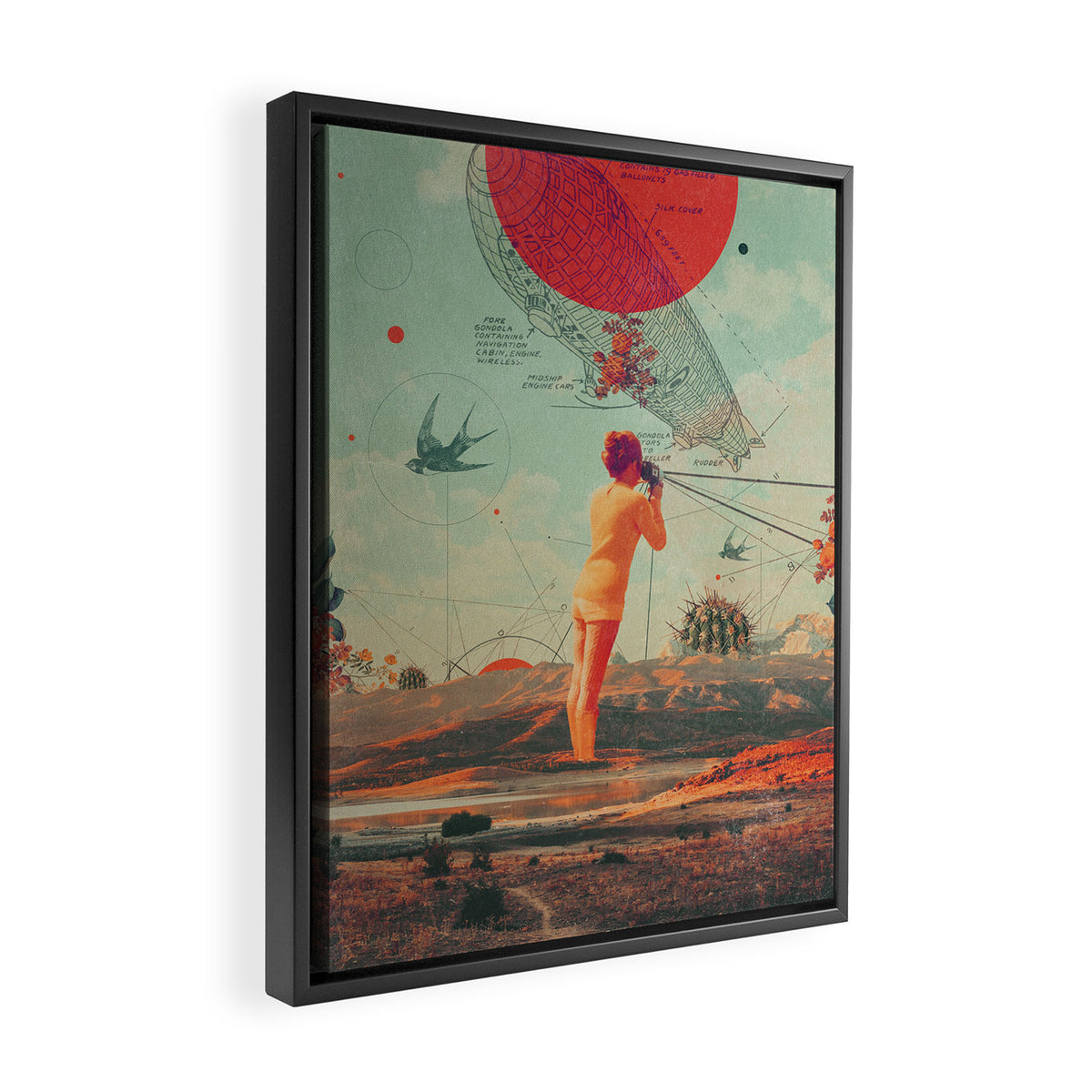 Rover Framed Canvas Print Gallery Image 2