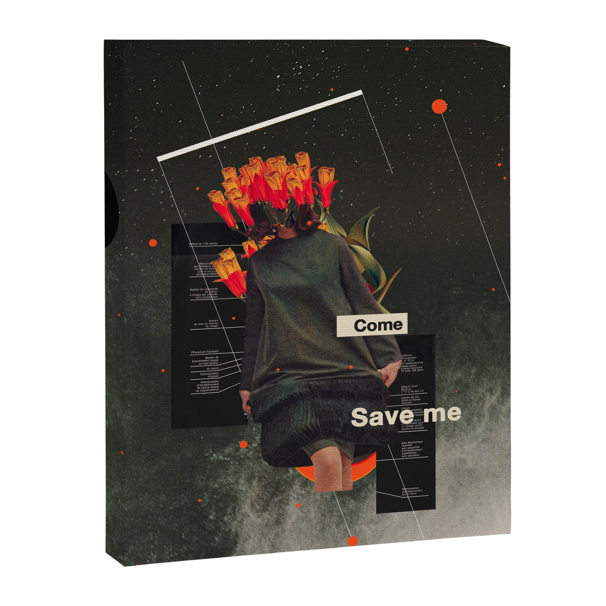 Save Me Canvas Print Gallery Image 6