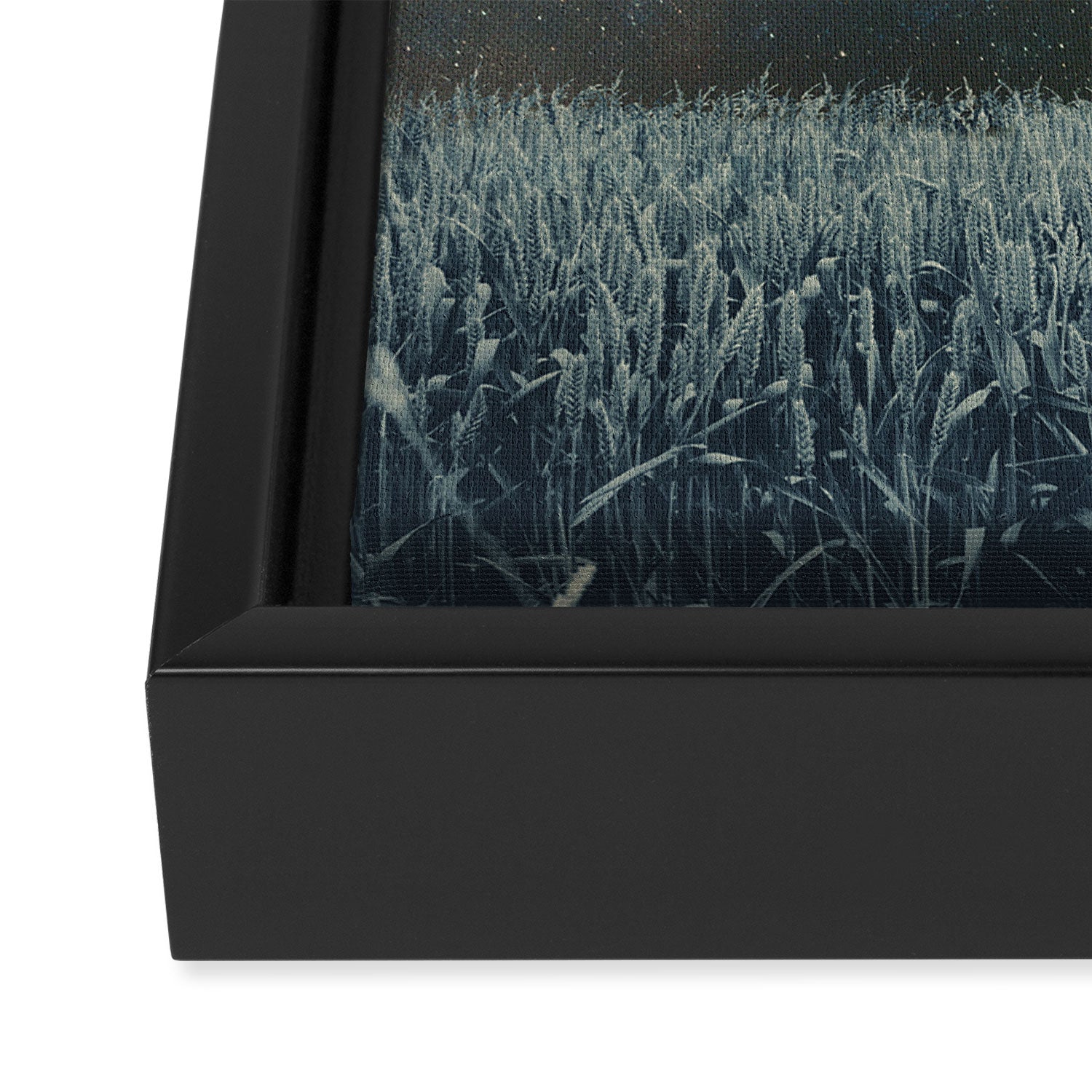Saw The Light Framed Canvas Print Gallery Image 3