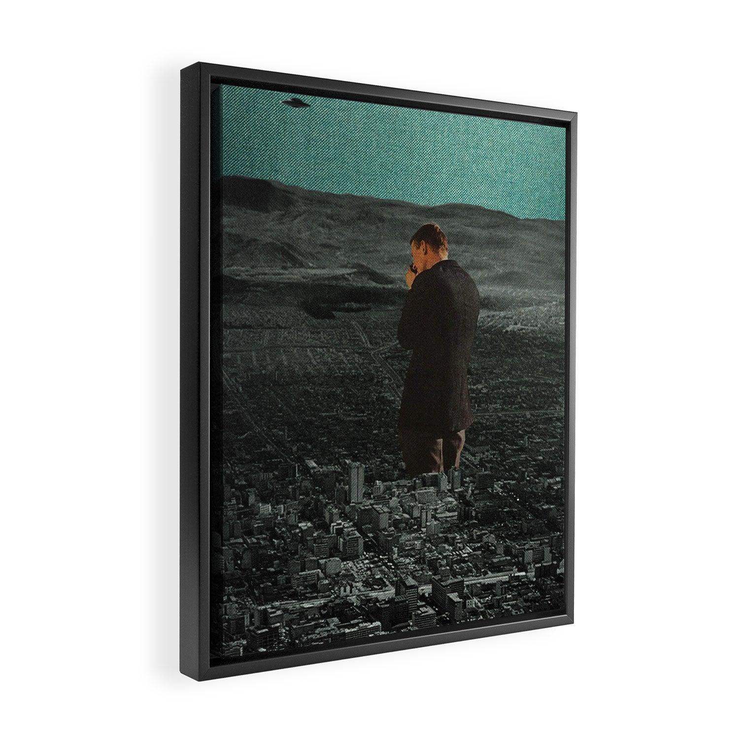 Seen Framed Canvas Print Gallery Image 2