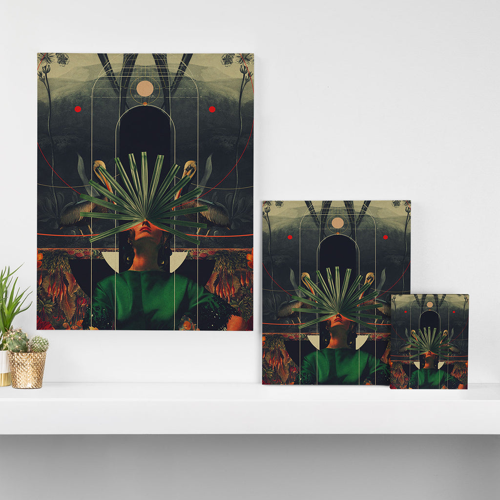 She saw the Equator Canvas Print Gallery Image 3