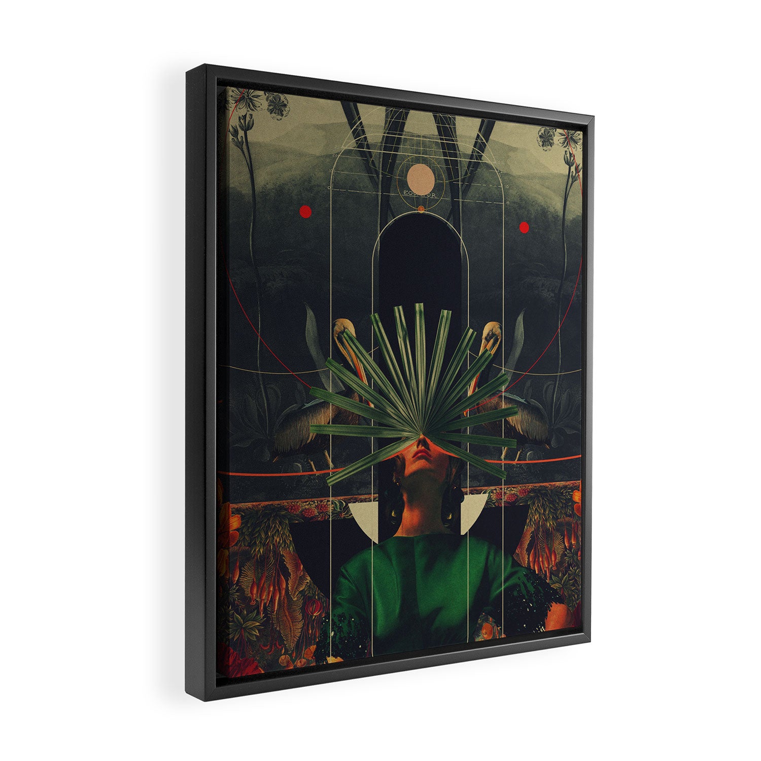 She saw the Equator Framed Canvas Print Gallery Image 2