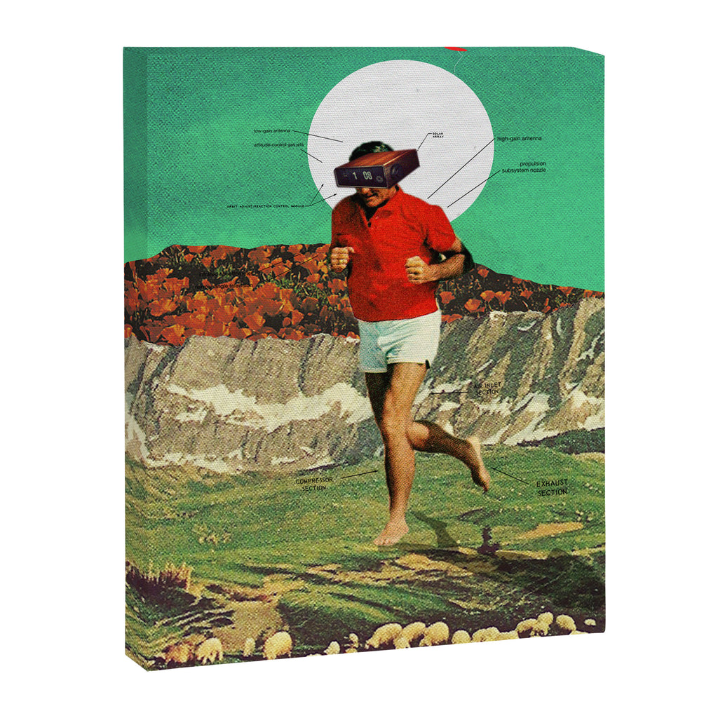 Sheeprunner Canvas Print Gallery Image 6