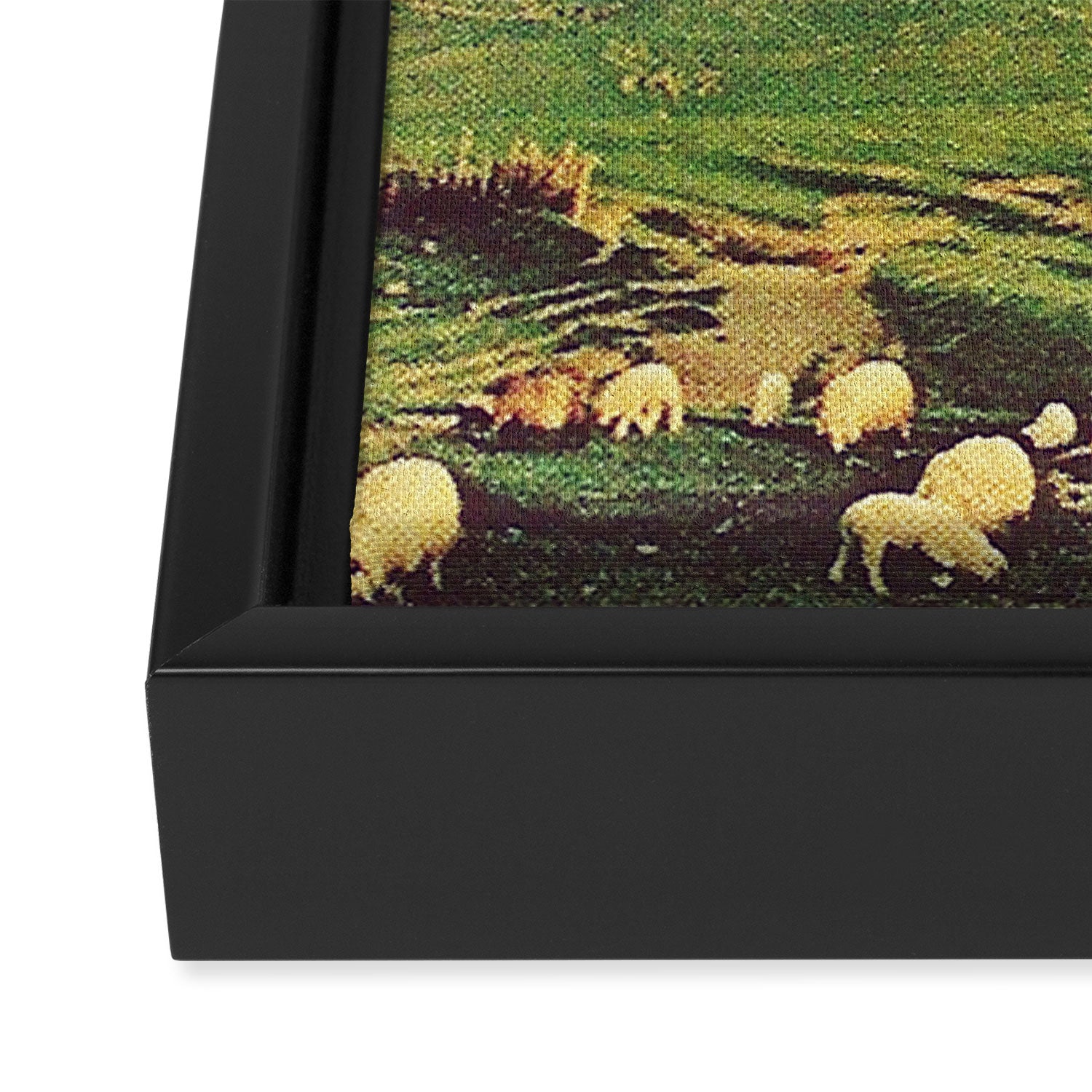 Sheeprunner Framed Canvas Print Gallery Image 3