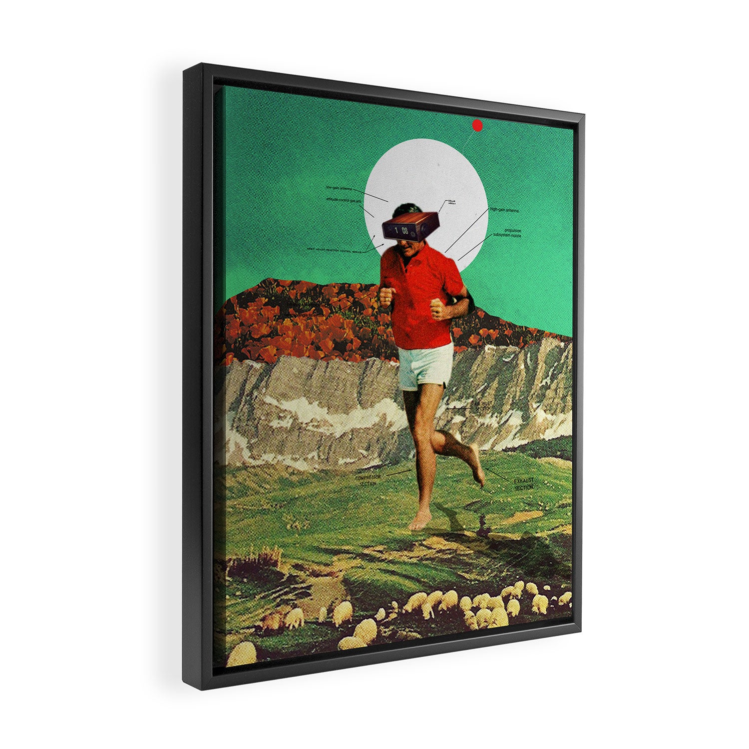 Sheeprunner Framed Canvas Print Gallery Image 2
