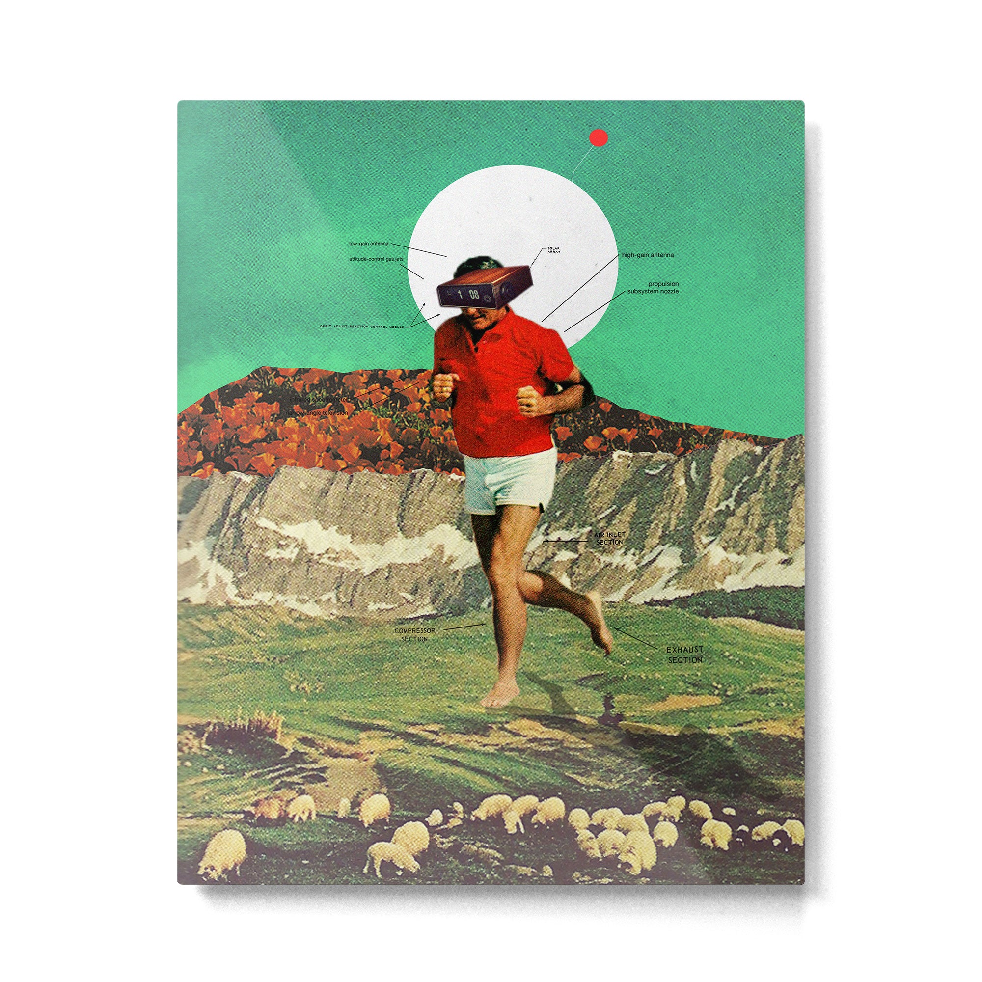 Sheeprunner Metal Print Gallery Image 4
