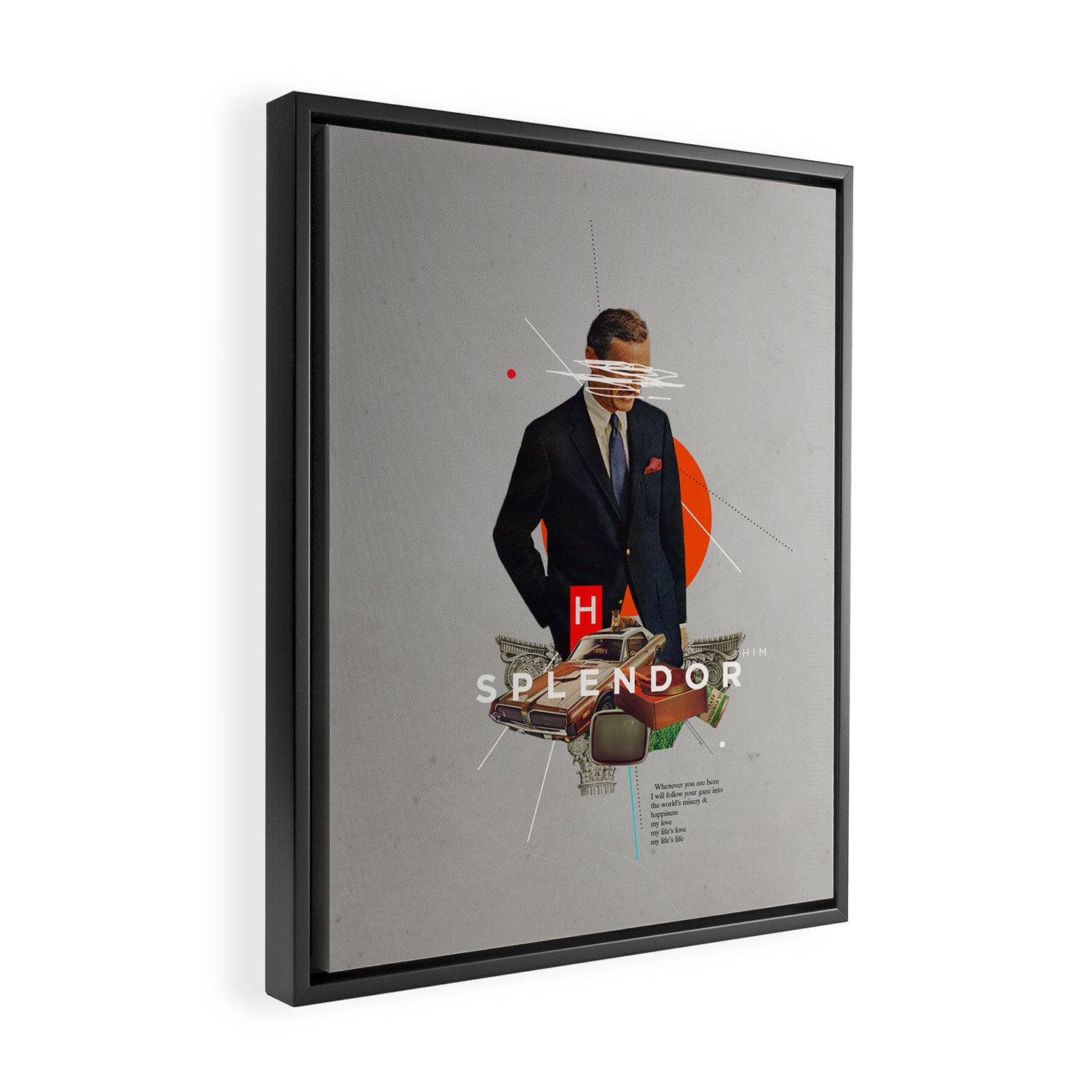 Splendor Framed Canvas Print Gallery Image 2