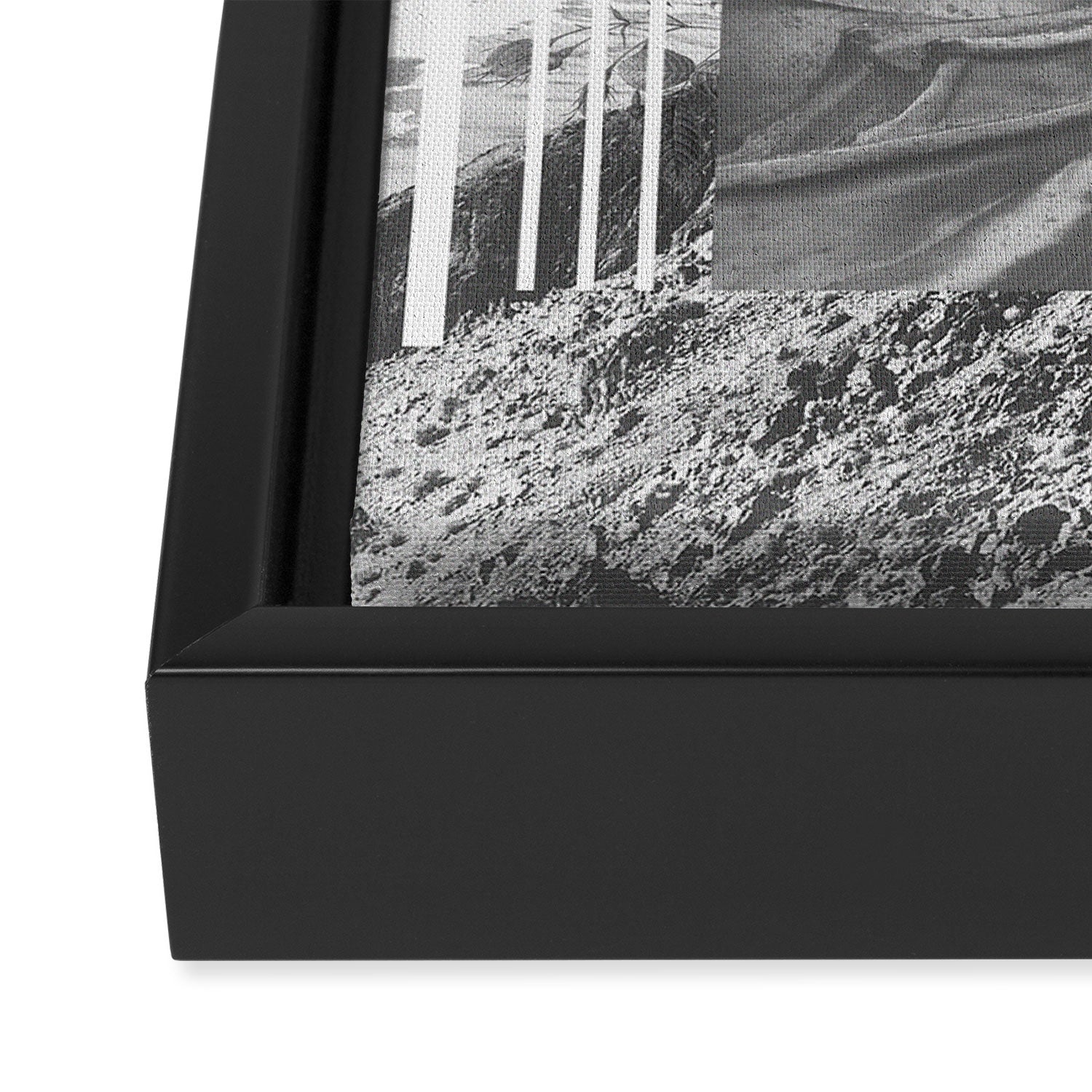SRNT 01 Framed Canvas Print Gallery Image 3