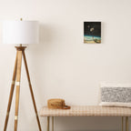 Summer with a Chance of Asteroids Canvas Print Gallery Image 2
