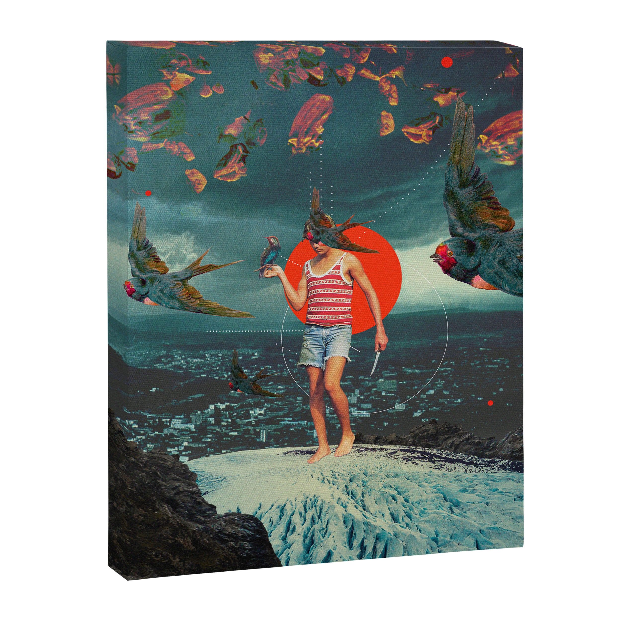 The Boy and the Birds Canvas Print Gallery Image 6