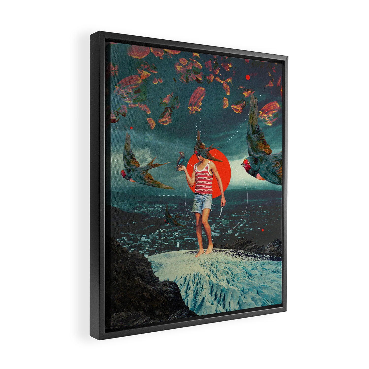 The Boy and the Birds Framed Canvas Print Gallery Image 2