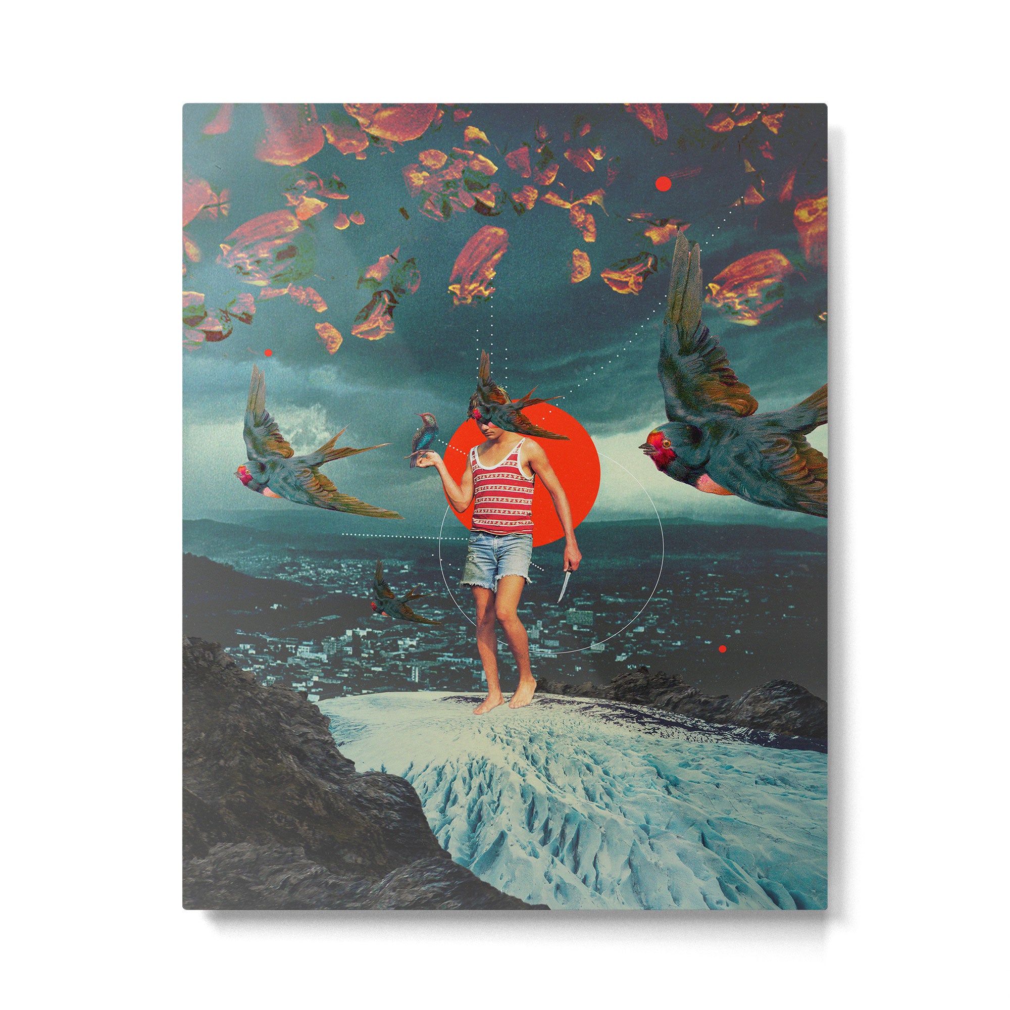 The Boy and the Birds Metal Print Gallery Image 4