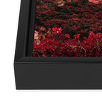Those Pink Afternoons Framed Canvas Print Gallery Image 3