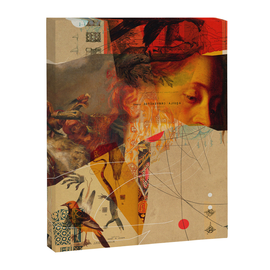 Transformations Canvas Print Gallery Image 6