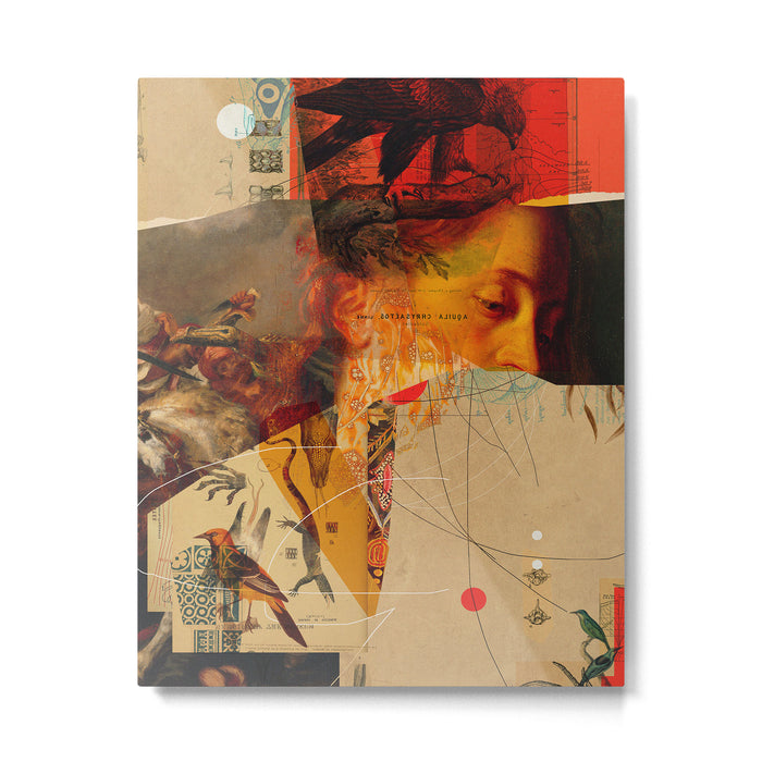 Transformations Metal Print Gallery Image 1