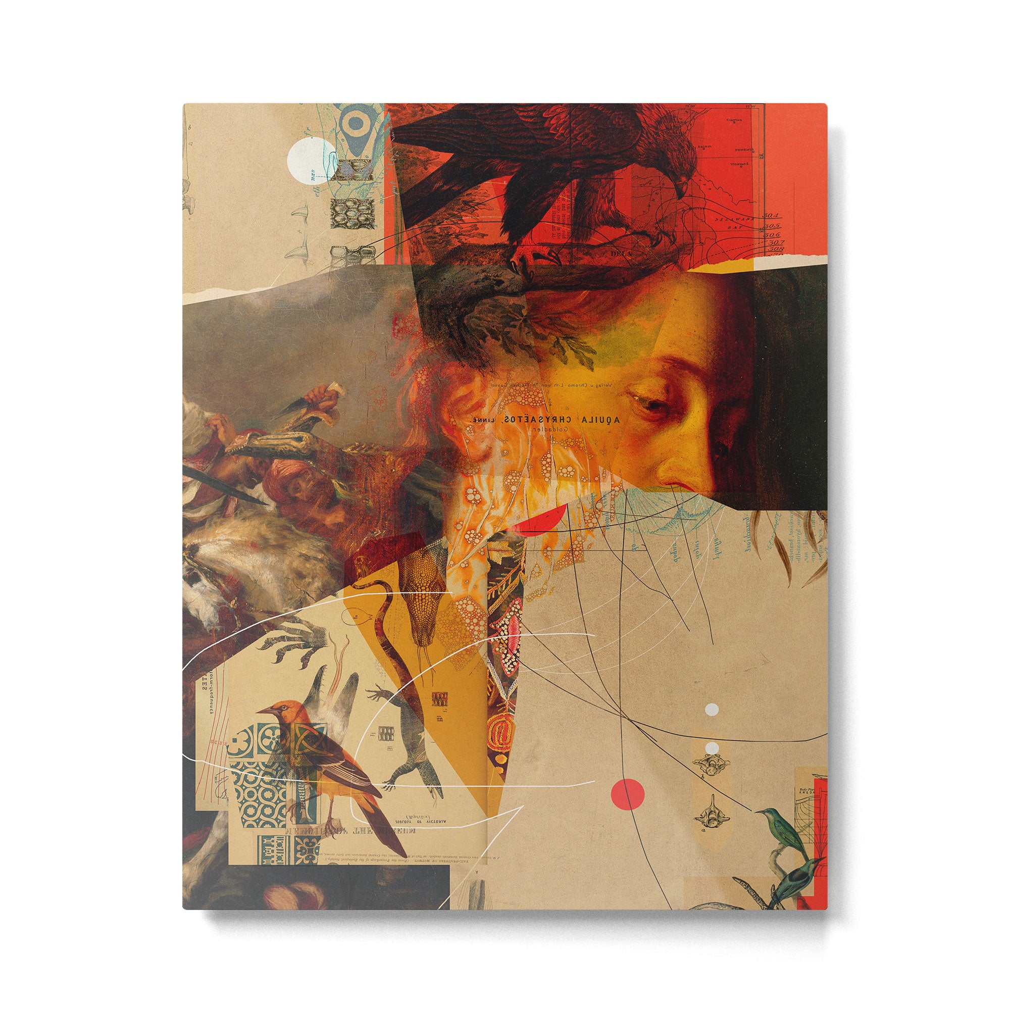 Transformations Metal Print Gallery Image 4