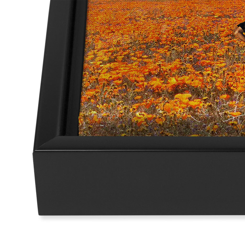 We Can Framed Canvas Print Gallery Image 3