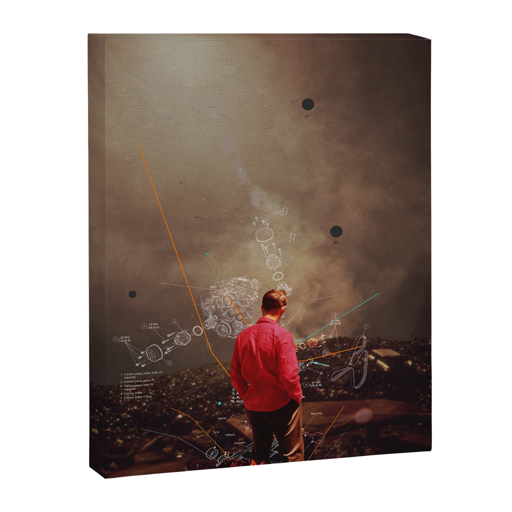 Weighing my Chances to Return Canvas Print Gallery Image 6