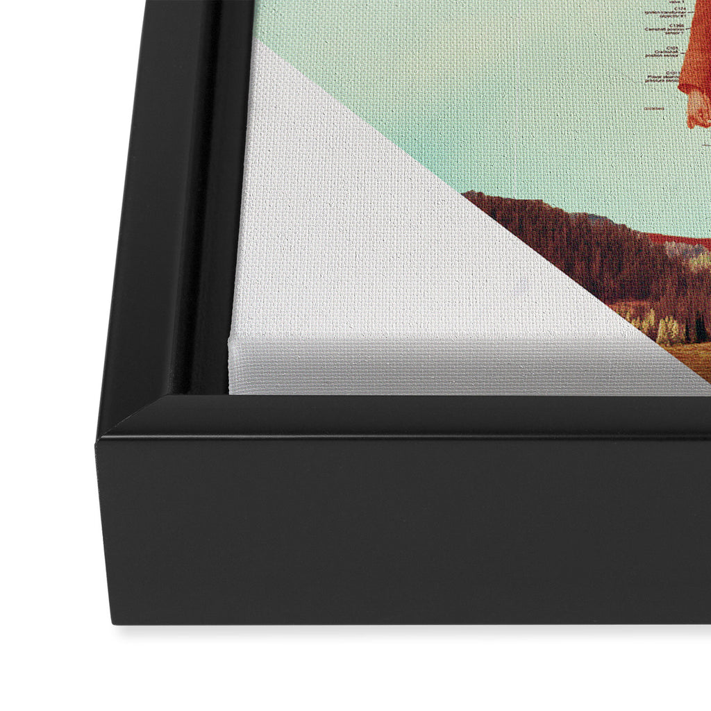 Why Framed Canvas Print Gallery Image 3