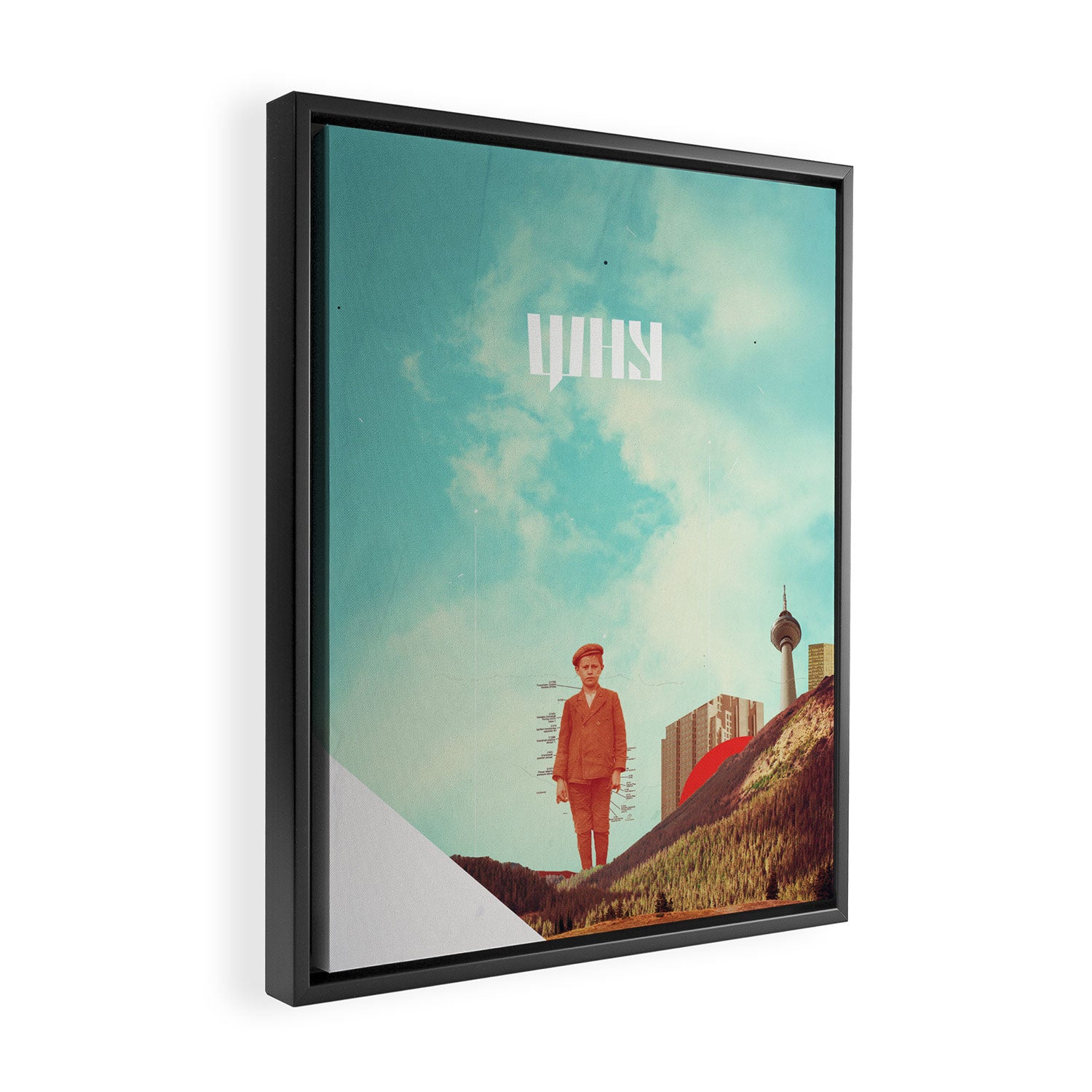 Why Framed Canvas Print Gallery Image 2