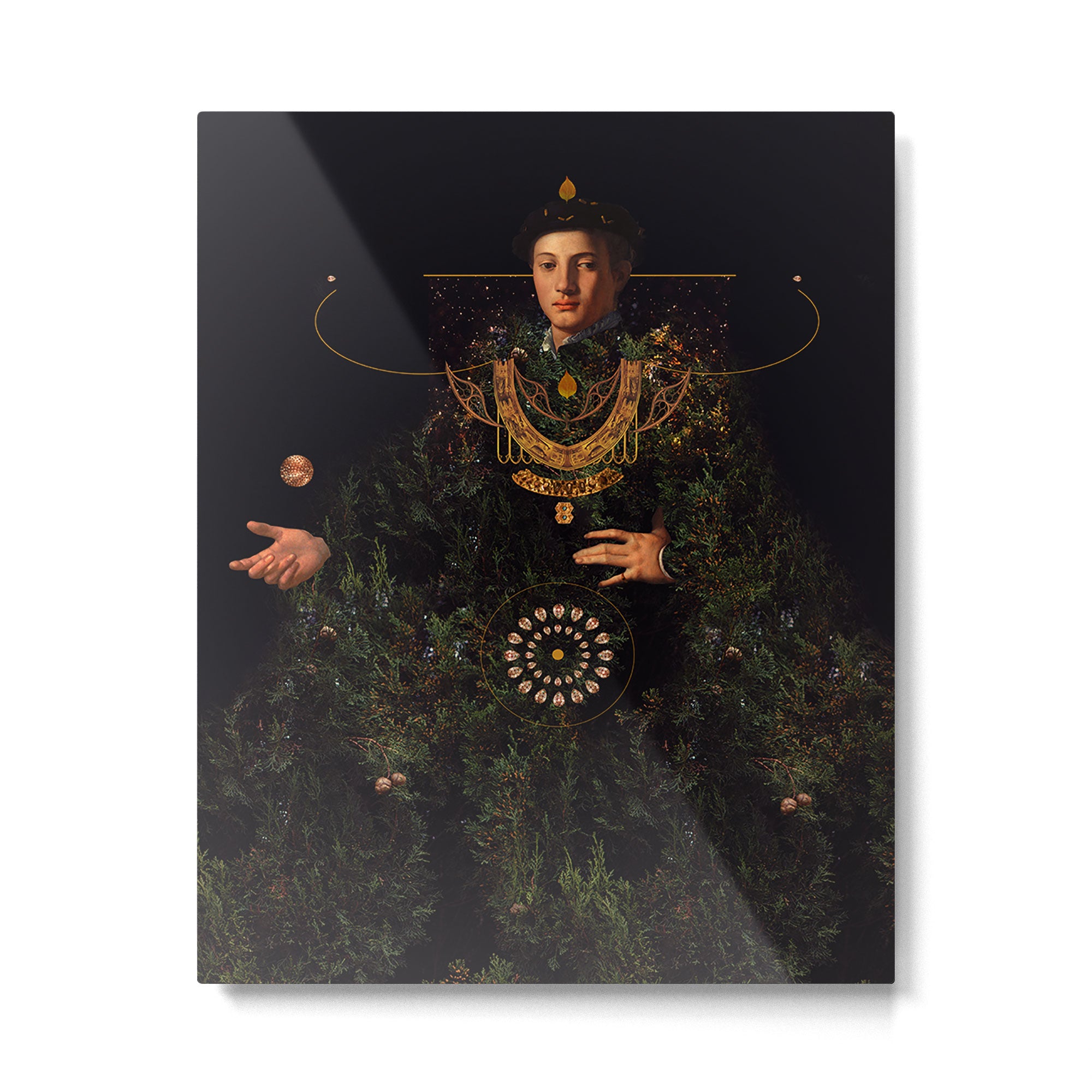 Wisdom Metal Print Gallery Image 4