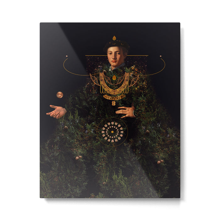 Wisdom Metal Print Gallery Image 1